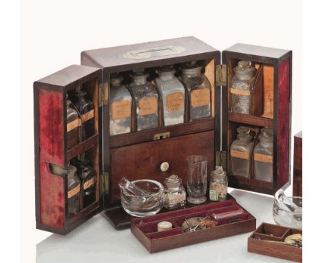 AN EARLY 19TH-CENTURY TRAVELLING MEDICINE CHEST
the doors fitted with bottle compartments, lower drawer plush-lined with pest