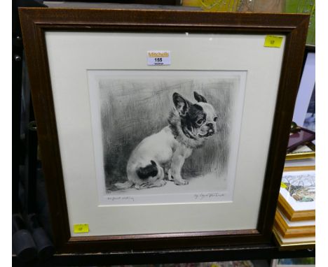 Original French Bulldog etching, indistinctly signed 