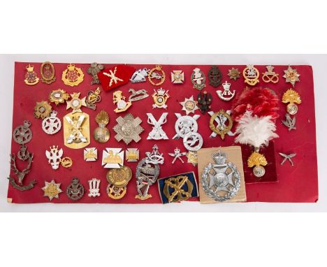 A collection of modern British Army cap badges including Princess of Wales's Own Regiment, Forester Brigade, Yorkshire Regime