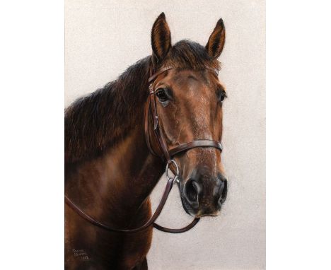 Pauline EdwardsStudy of a horse's head, 1987signed and dated lower leftpastel on paper, 63 x 47cmtogether with; a D. M. Dent 