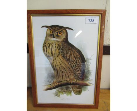  Sale Item:    PRINT EAGLE OWL BY E LEARDER   Vat Status:   No Vat   Buyers Premium:  This lot is subject to a Buyers Premium