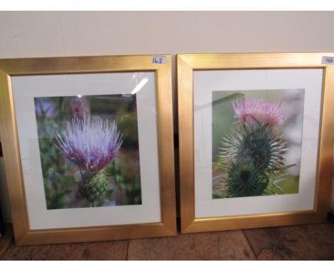  Sale Item:    2 THISTLE PRINTS   Vat Status:   No Vat   Buyers Premium:  This lot is subject to a Buyers Premium of 15% + Va