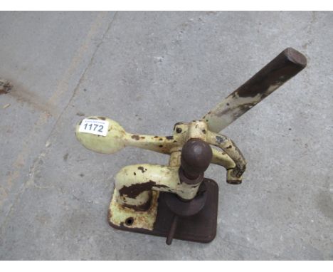  Sale Item:    YELLOW PUNCH   Vat Status:   No Vat   Buyers Premium:  This lot is subject to a Buyers Premium of 15% + Vat @ 