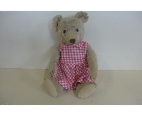 A Steiff bear circa 1950's, 32cm tall, no button loss of mohair to chest and back, holes to flet pads, and some missing claws