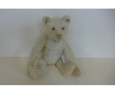 A white Steiff bear, 30cm tall, button in ear, issued 1905 to 1950 - this bear is probably 1920's, glass eyes - non working s