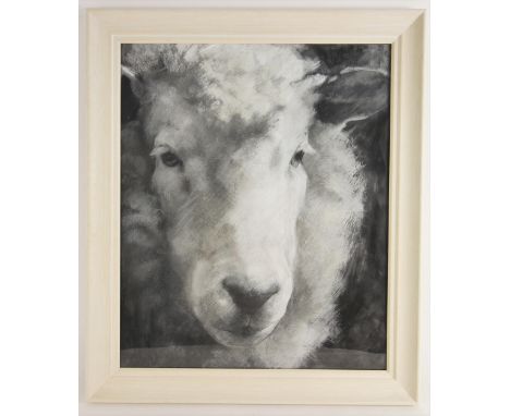 A Phelps (British school, 20th century),Portrait of a Herdwick sheep,Oil on paper,Signed lower left,63cm x 52cm,Framed and gl
