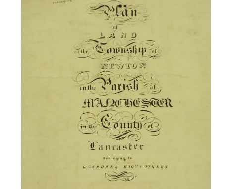 Large scale plan of land in the township of Newton. P&amp;P Group 1 (£14+VAT for the first lot and £1+VAT for subsequent lots