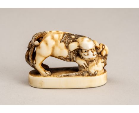 A SIGNED IVORY NETSUKE OF A SHISHI WITH CUB, EDO PERIODJapan, 19th century, Edo period (1615-1868)The ivory netsuke with a fi