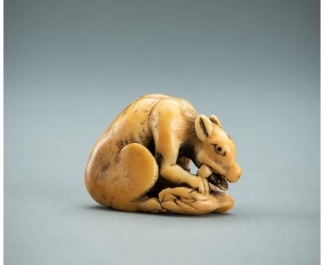 AN EARLY IVORY NETSUKE OF A WOLF WITH HAUNCHUnsignedJapan, Kyoto, 18th century, Edo period (1615-1868)A good old ivory netsuk