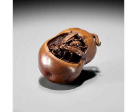 A FINE NAGOYA SCHOOL WOOD NETSUKE OF A WASP INSIDE A ROTTEN PEARUnsigned Japan, Nagoya, 19th century, Edo period (1615-1868)F