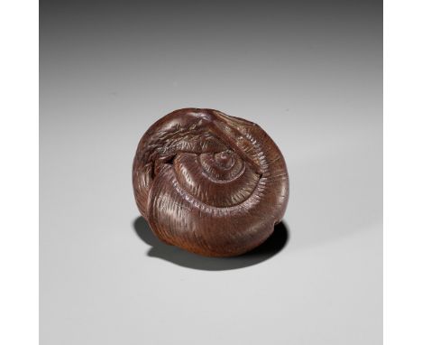 YASUTADA: A WOOD NETSUKE OF A SNAIL EMERGING FROM ITS SHELLBy Yasutada, signed Yasutada 安忠Japan, Kyoto, late 18th to early 19
