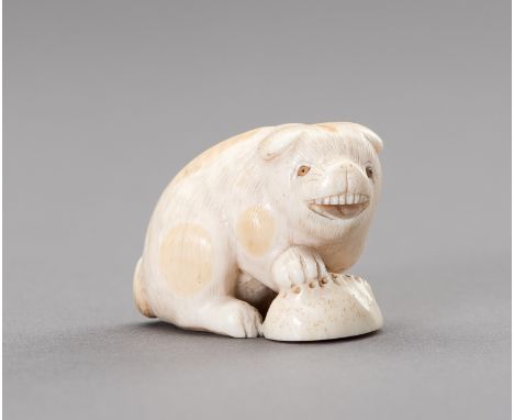 RANICHI: AN IVORY NETSUKE OF A PUPPY WITH AWABIBy Ranichi, signed Ranichi 蘭一Japan, Kyoto, early 19th century, Edo period (161