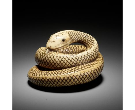 AN IVORY NETSUKE OF A COILED SNAKE, ATTRIBUTED TO OKATOMOAttributed to Yamaguchi Okatomo, unsigned Japan, Kyoto, late 18th to