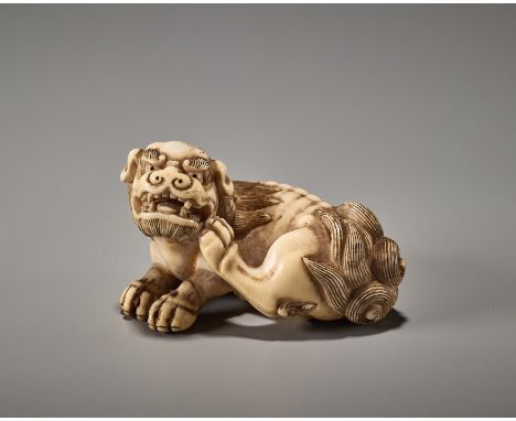 A POWERFUL KYOTO SCHOOL IVORY NETSUKE OF A SHISHIJapan, Kyoto, 18th century, Edo period (1615-1868)A bold and impressive ivor