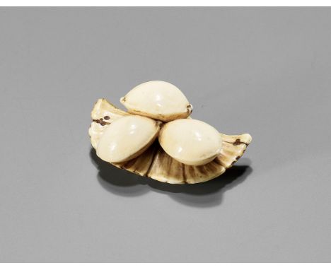 NAOKAZU: AN IVORY NETSUKE DEPICTING GINKGO NUTS ON A LEAFSigned Naokazu 直一Japan, 19th century, Edo period (1615-1868)Finely c