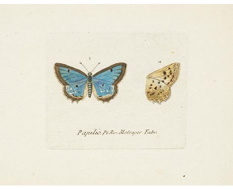 Georg Wolfgang Franz Panzer    Faunae insectorum Germanicae initia, oder Deutschlands Insecten. 67 Hefte der Reihe. Nürnberg,