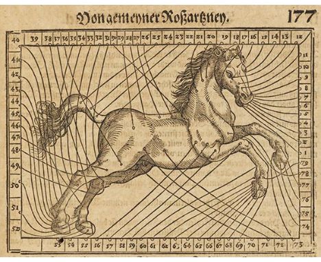 Charles Estienne und Jean Liebault    XV. Bücher von dem Feldbaw und recht volkommener Wolbestellung eines bekömmlichen Lands