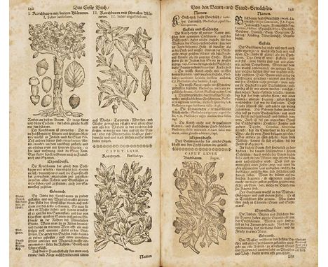 Theodor Zwinger    Theatrum Botanicum. Das ist: Neu Vollkommenes Kräuter-Buch, Worinnen Allerhand Ergewächse der Bäumen, Stau