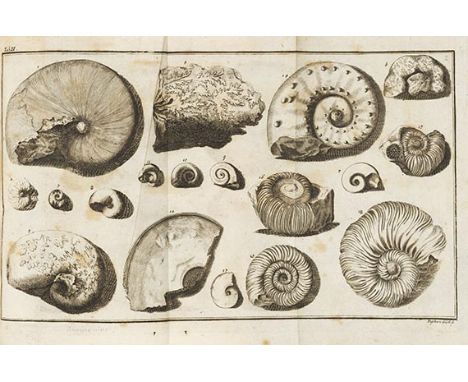 Johann Jakob Baier    Oryktographia Norica, sive rerum fossilium et ad minerale regnum pertinentium. Nürnberg, W. Michaelis 1