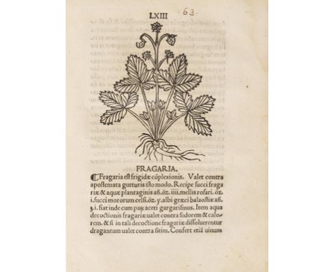 Herbarium    Tractatus de virtutibus herbarum. Venedig, A. de Bindonis, 4. April 1520. Seltener Nachdruck der Ausgabe von 150