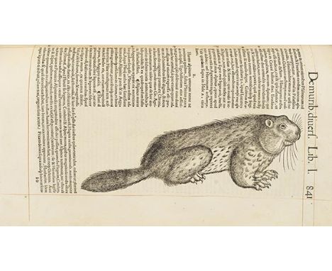 Conrad Gesner    Historiae animalium lib. I. de quadrupedibus viviparis. Zürich, Chr. Froschauer 1551. Erster Teil der fünfbä