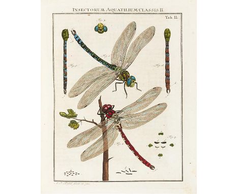 August Johann Rösel von Rosenhof   Der monatlich-herausgegebenen Insecten-Belustigung. 4 Bände. Nürnberg, J. J. Fleischmann 1