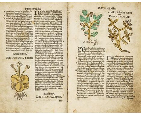 Johann Wonnecke von Kaub    Das Kreüterbuch, oder Herbarius. Das Buch von allen Kreütern, wurtzlen und anderen dingen, wie ma