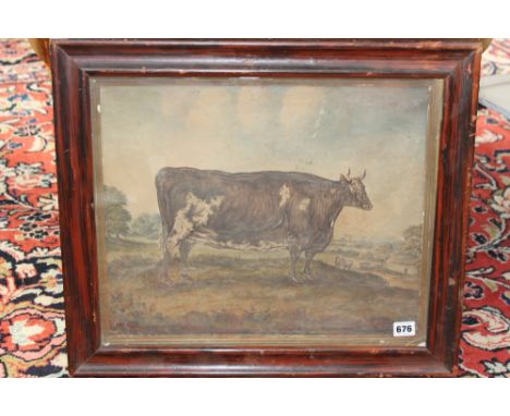 19TH CENTURY ENGLISH NAIVE SCHOOL. A PORTRAIT OF A PRIZE COW. GOUACHE ON CARD. 37 X 46CM.