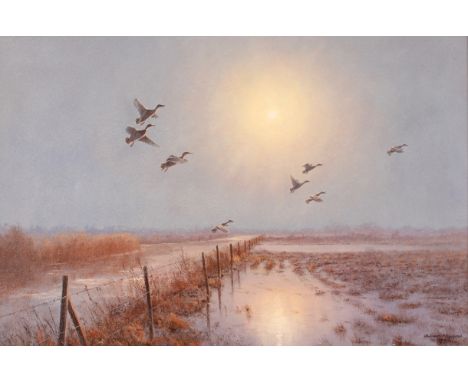 Julian Novorol,&nbsp;ducks in flight at first light, signed oil on canvas, dated 2007, 39cm x 58cm&nbsp;
