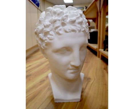 A white plaster portrait bust of a Roman gentleman, height 43cm