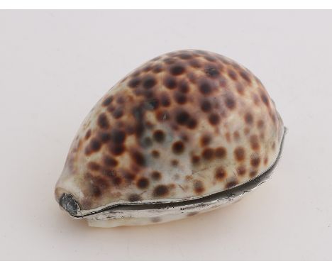 Snuff box made of a tiger shell with silver hinge and closure.&nbsp;8x6x5cm.&nbsp;In good condition