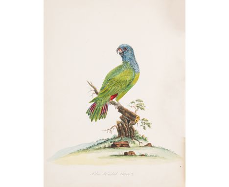 Birds.- Hayes (W.) Portraits of Rare and Curious Birds, with their Descriptions from the Menagery of Osterly Park, first edit