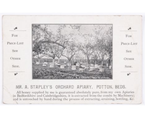 Bees.- Trade card.- Mr. A. Stapley's Orchard Apiary, photographic vignette of Mr. Stapley with his hives, manuscript ink note