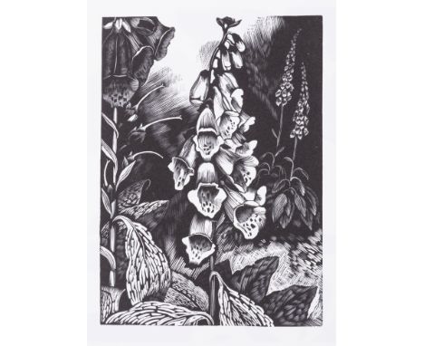 Nash (John)&nbsp;Twenty One Wood Engravings, one of 100 copies, from an edition limited to 112, original vellum-backed boards