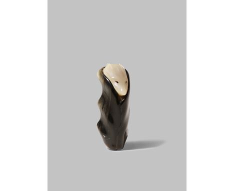 A BONTEBOK HORN CARVING, OKIMONO 20TH CENTURY Carved as a stylised tanuki resting in a hollow tree stump, the racoon dog depi