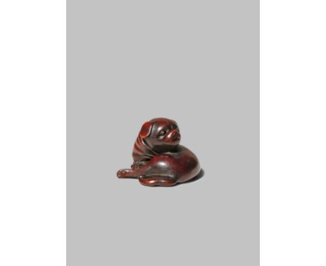 A JAPANESE WOOD NETSUKE EDO/MEIJI PERIOD Carved as a puppy resting with its head turned to the side, a scarf with a pattern o
