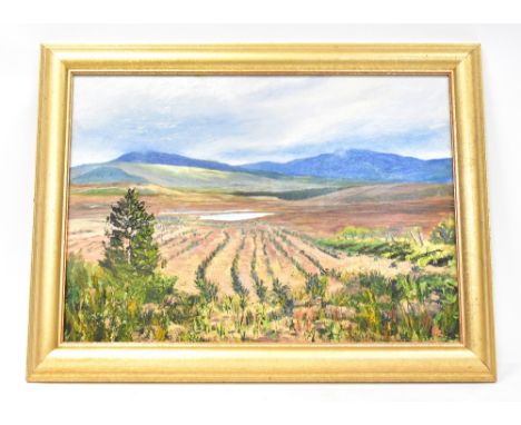 UNATTRIBUTED; oil on board 'Gathering Storm', mountainous landscape scene, initialled 'AS' and titled verso, framed, 42 x 81c