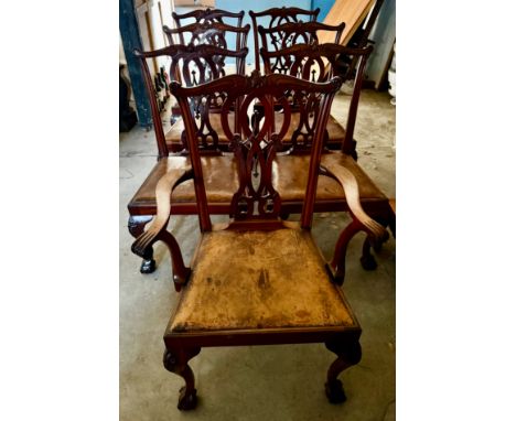 A mahogany wind out dining table on ball and claw feet with two leaves together with 7 Chippendale style dining chairs with b