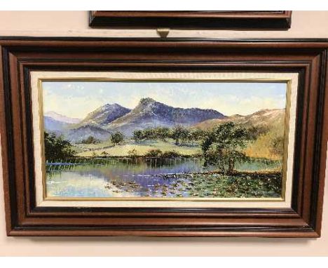 Dallas K Taylor : Mountainous valley landscape, oil on board, signed, framed.