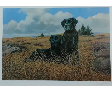 RICHARD BRITTON, A PAIR OF BLACK LABRADORS signed, framed, limited edition print 106/500