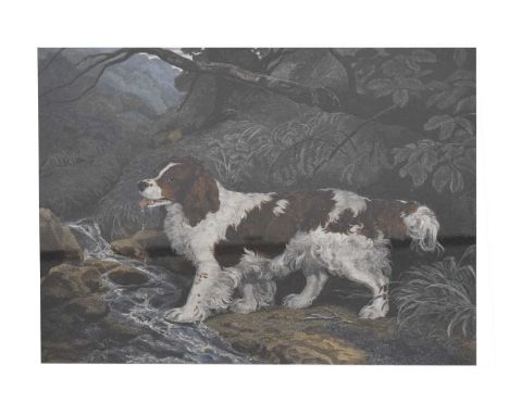 After Ramsay Richard Reinagle (1775-1862) 'The Spaniel', with dedication 'To the Right Honourable Baron Northwick F.S.A. &amp