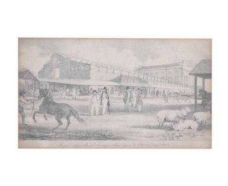 Royal Agricultural Society's Show Yard at Bristol July 14th 1842 print, 25cm x 37.5cm, framed under glass