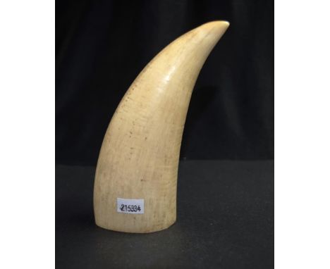 Early whale tooth (height 16cm approx). NOTE: Export of this item is not permitted.