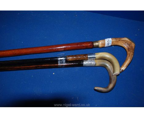 A pair of silver collared and horn Sticks, and a horn and antler Hiking stick