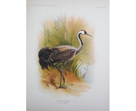 SCOTT (PETER), WILD CHORUS, signed limited first edition re-print, first published 1938, signed and and numbered '12', with s