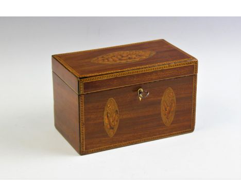 A Regency inlaid mahogany tea caddy, the rectangular hinged cover with conch shell inlay, enclosing twin lidded compartments,