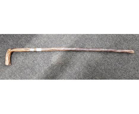 SILVER COLLARED WALKING STICK 1898