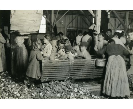 Lewis Wickes Hine [1874-1940, Winsconsin, USA]-
Oyster-shuckers in Barataria Canning Company in Biloxi. February 1911 
vintag