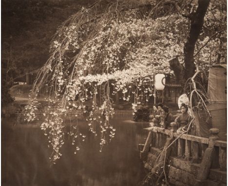 * Herbert George Ponting [1870-1935] -
Cherry Blossom Time in Japan. 
carbon print:-
37.3 x 45cm., sheet size 40.7 x  48.2 cm