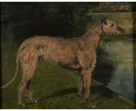 English School-
An Irish deerhound, a study:-
inscribed on reverse 'Chelmsford 1906, Crusher-Duke, C.K.'s Irish deerhound'
oi